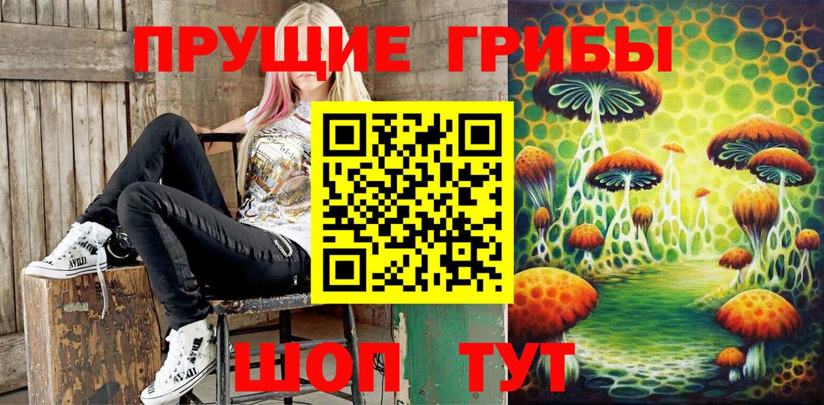 Галлюциногенные грибы Psilocybine cubensis Новокубанск
