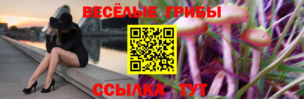 Псилоцибиновые грибы мицелий  Псилоцибиновые грибы прущие грибы  Вход с VPN  Новокубанск 